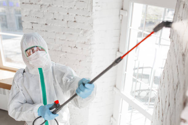 Best Commercial Mold Inspection  in Whitney, NV