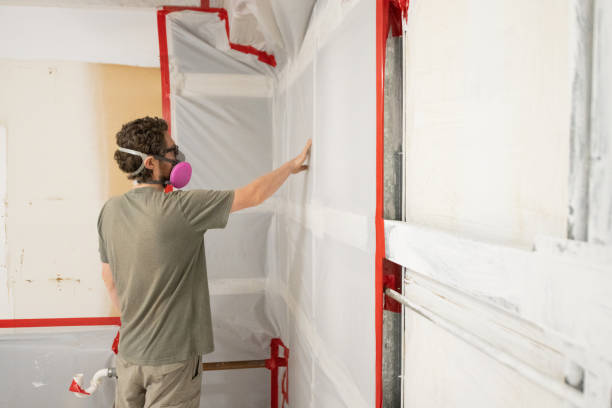 Best Air Quality Testing for Mold Spores  in Whitney, NV