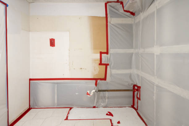 Best Post-Remediation Verification Testing  in Whitney, NV