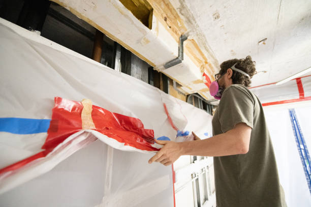Best Post-Construction Mold Inspection  in Whitney, NV